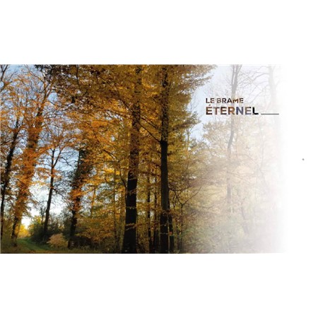 L’ODYSSÉE DU BRAME