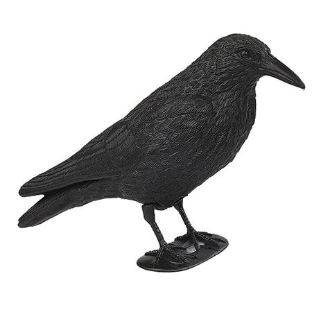 Lokker Stepland Corbeau Simple