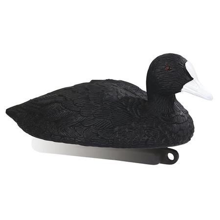 Lokker Stepland Foulque