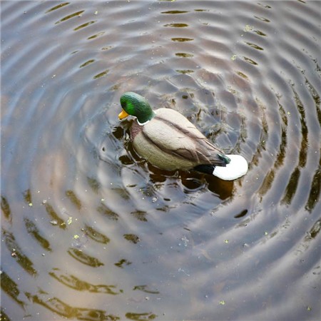 LOKROEP MOJO RIPPLER 2 - COLVERT