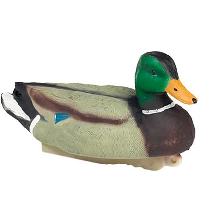 Lokroep Stepland Wilde Eend Mannetje Hd