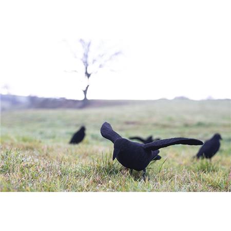 Lokvogel Eurohunt Corbeau Leurre Floqué Avec Des Ailes