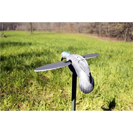 LOKVOGEL MOJO - DUIF