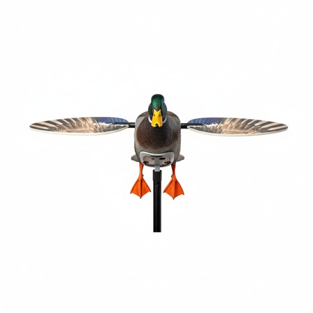 LOKVOGEL MOJO ELITE SERIES MET LI-IONBATTERIJ - PATO REAL - WILDE EEND