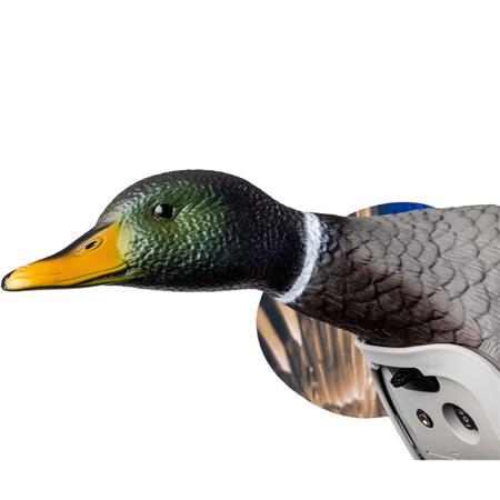 LOKVOGEL MOJO KING MALLARDAVEC BATTERIE LIT-ION