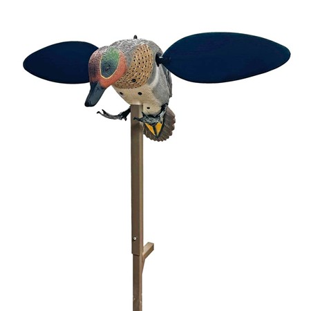 Lokvogel Mojo - Sarcelle D'hiver