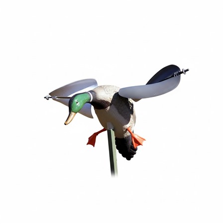 Lokvogel Mojo - Wilde Eend