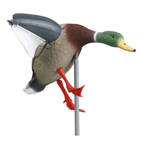 Lokvogel Stepland Colvert Ailes Tournantes A La Pose - Partij Van 6