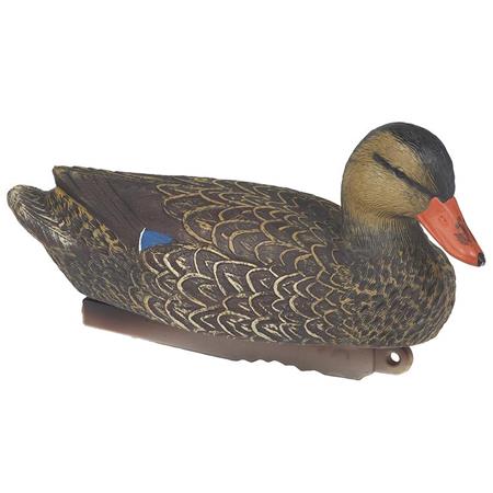 Lokvogel Stepland Colvert Femelle Hd
