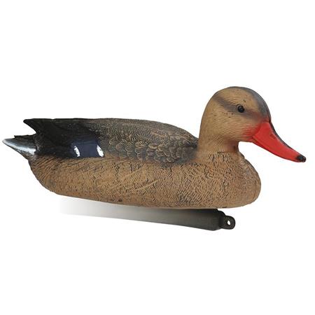 Lokvogel Stepland Colvert Femelle Mousse