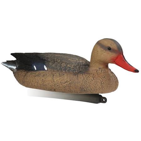 Lokvogel Stepland Colvert Femelle