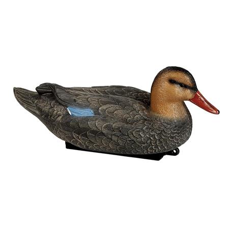 Lokvogel Stepland Colvert Magnum Femelle - Partij Van 6