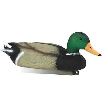 Lokvogel Stepland Colvert Mâle