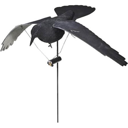 Lokvogel Stepland Corbeau Ailes Battantes Electriques