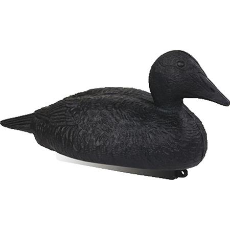 Lokvogel Stepland Eider Zwart Schuim