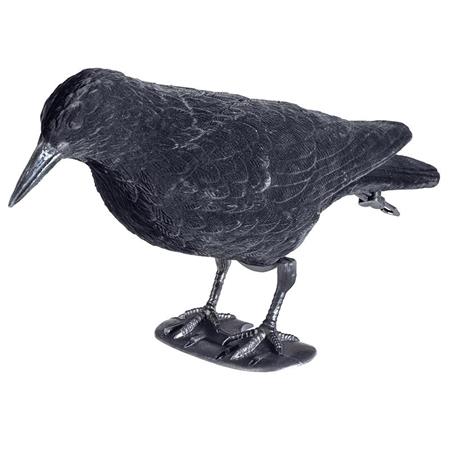 Lokvogel Stepland Floque Corbeau