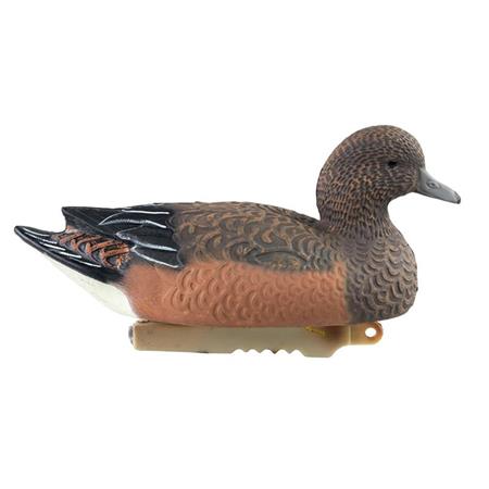 Lokvogel Stepland Forme Siffleur Femelle Hd