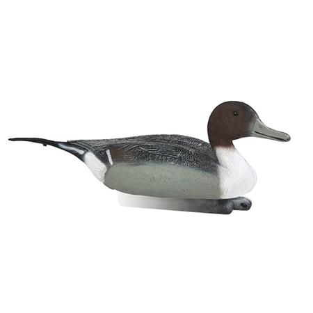 Lokvogel Stepland Pilet Mâle