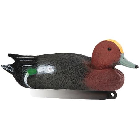 Lokvogel Stepland Siffleur Male Mousse