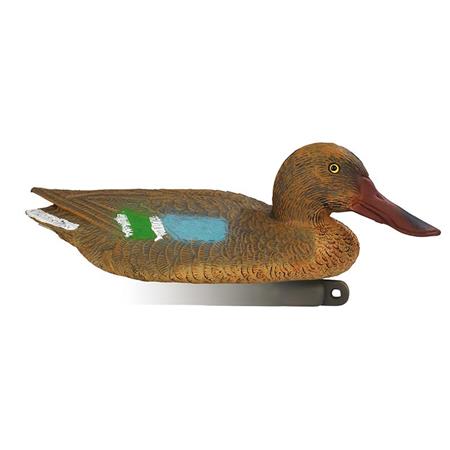 Lokvogel Stepland Souchet Femelle