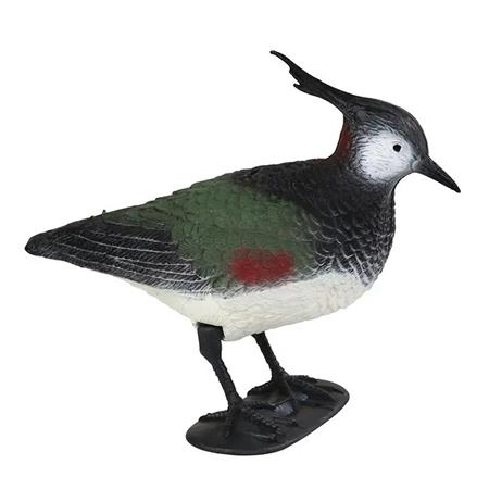 Lokvogel Stepland Vanneau Huppe