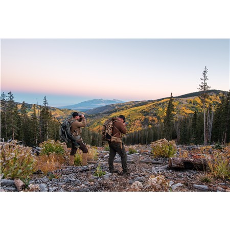 LONGUE VUE 18-15X65 SWAROVSKI AT BALANCE