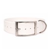 Collier Chien Polytec 38Mm - Blanc