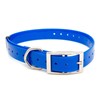 Collier Chien Polytec 25Mm - Bleu Électrique