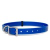 Collier Chien Polytec 16Mm - Bleu Électrique