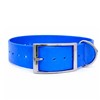 Collier Chien Polytec 38Mm - Bleu Électrique