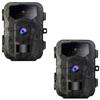 Wild Camera Hh-665 - Ensemble-Ensemble2-224444