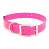 Collier Chien Polytec 25Mm - Fuchsia