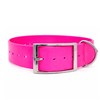 Collier Chien Polytec 38Mm - Fuchsia