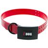 Collare Per Cane I-Dog Premium - I152502