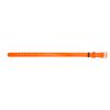 Collier Chien Eurohunt Hp&G - Largeur 1.9Cm - Orange