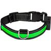 Leuchtender Halsband Eyenimal Light Collar Usb Rechargeable - Ngcollum019