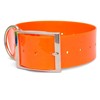 Collier Chien Polytec 50Mm - Orange Fluo