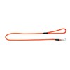 Laisse Mousqueton Roc Import - Orange