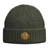 Bonnet Homme Pinewood Windy - Vert
