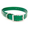 Collier Chien Polytec 25Mm - Vert