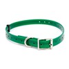 Collier Chien Polytec 16Mm - Vert
