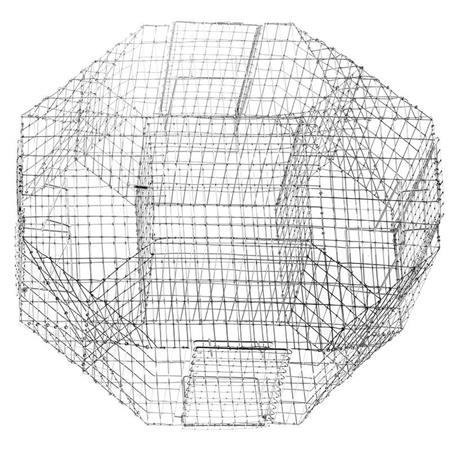 Magpie Cage Europ Arm