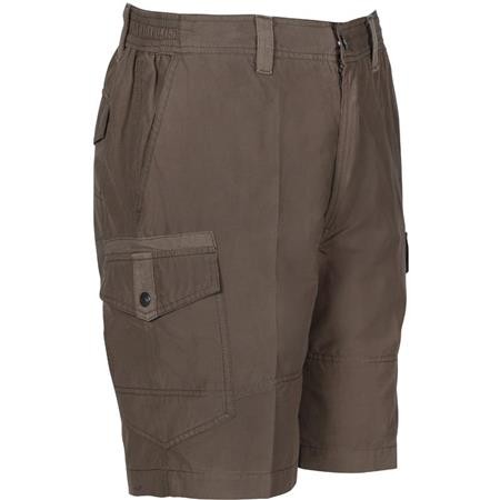 Men's Bermuda Shorts Idaho Guernsey - Brown