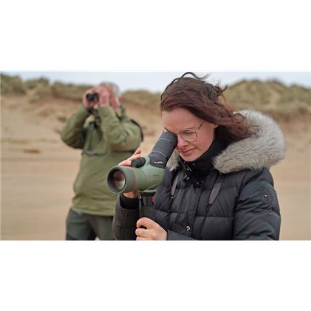 MIRA TERRESTRE KOWA TSN 55 PROMINAR FLUORITE + OCULAIRE ZOOM