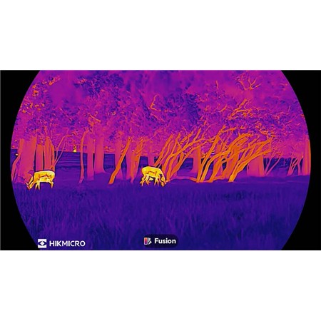 MONOCOLO TERMICO HIKMICRO LYNX LH19 3.0