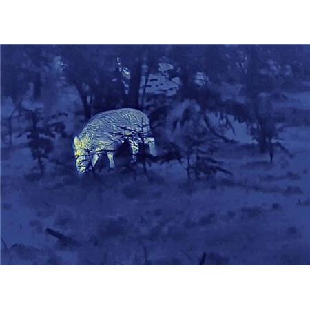 MONOCULARE VISIONE TERMICA STEINER NIGHTHUNTER H35