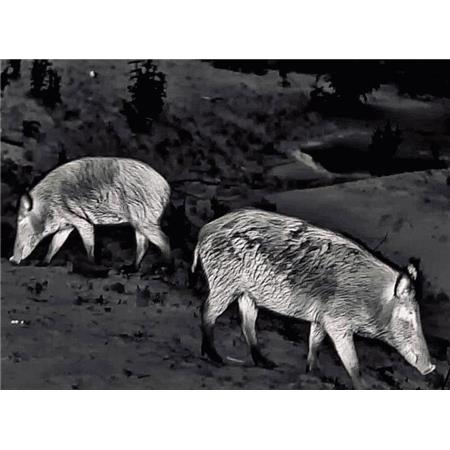 MONOKULAR TERMOWIZYJNY STEINER NIGHTHUNTER H35