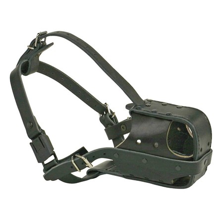 Muselière Difac Frappe