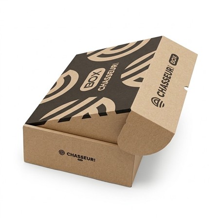 MYSTERY BOX CHASSE