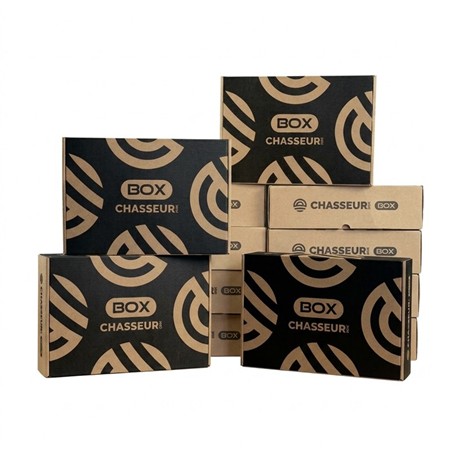 MYSTERY BOX CHASSE